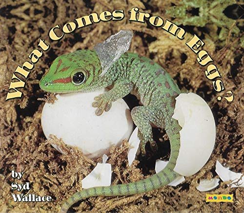 What Comes from Eggs ?