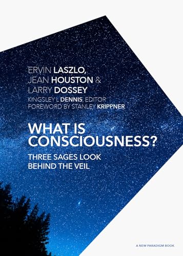 What is Consciousness?