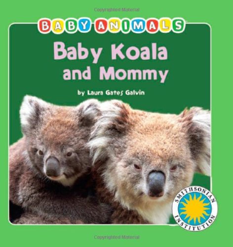 Baby Koala and Mommy