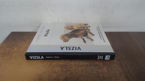 Vizsla