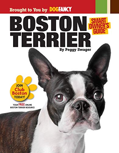 Boston Terrier
