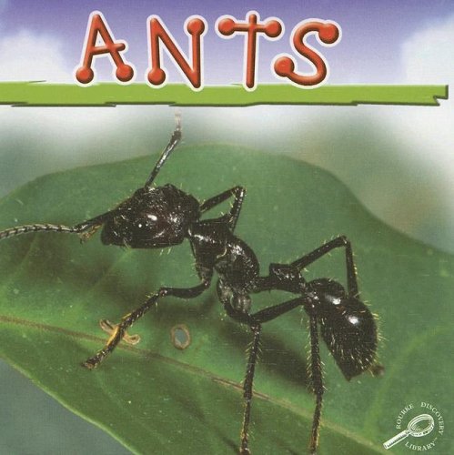 Ants