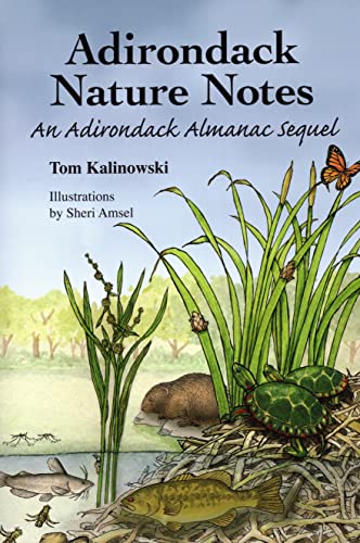 Adirondack Nature Notes