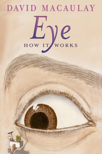 Eye
