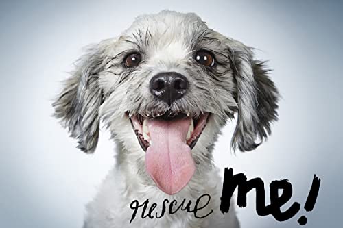 Rescue Me!