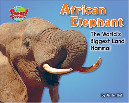 African Elephant