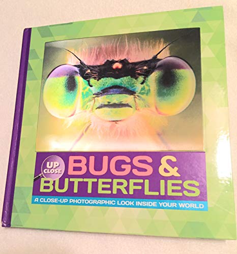 up close bugs butterflies a closeup photographic look inside your world
