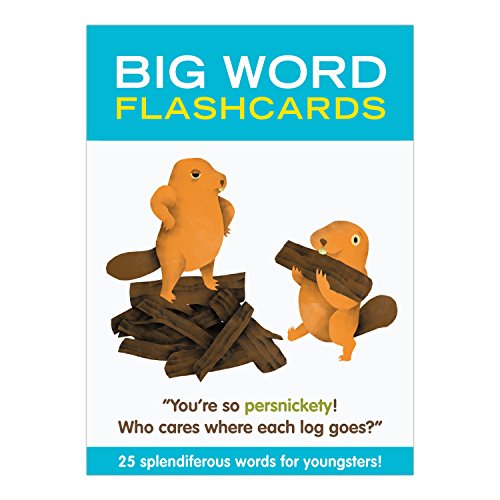 Flashcards: Big Word