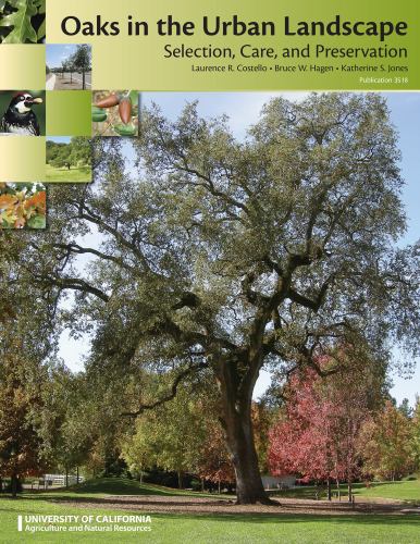 Oaks in the Urban Landscape