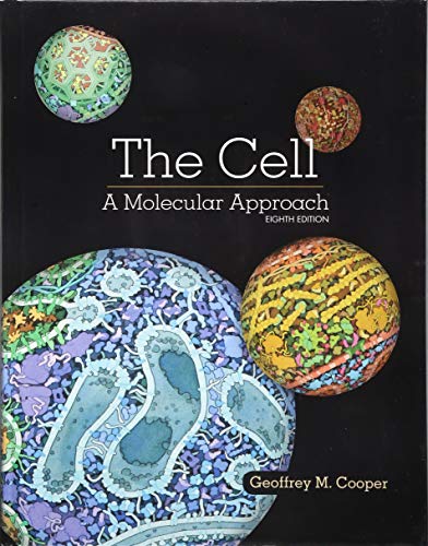 The Cell