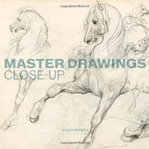 Master Drawings CloseUp
