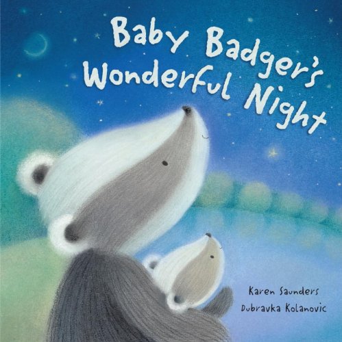 Baby Badger's Wonderful Night