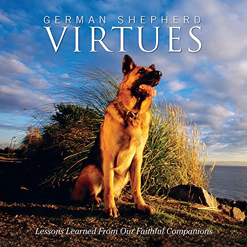 German Shepherd Virtues: Lessons Learned from Our Faithful Companions