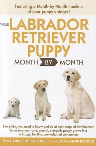Your Labrador Retriever Puppy Month by Month