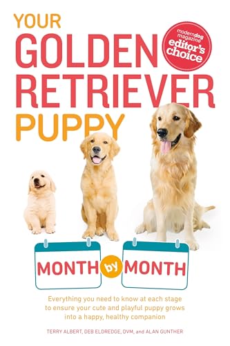 Your Golden Retriever Puppy Month by Month
