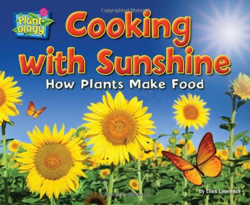 Cooking with Sunshine
