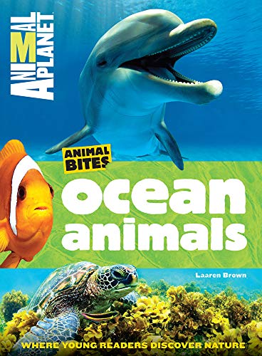 Animal Bites: Ocean Animals
