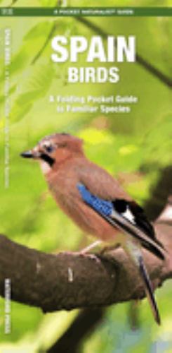 Spain Birds