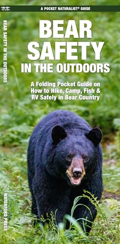 Bear Safety in the Outdoors