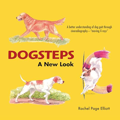 Dogsteps A New Look