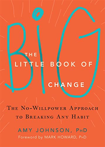 The Little Book of Big Change