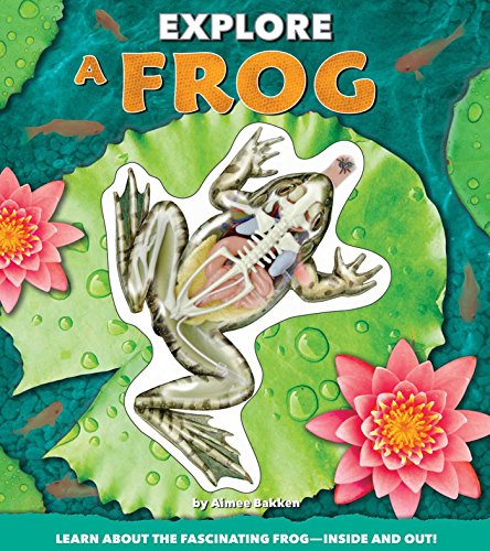 Explore a Frog