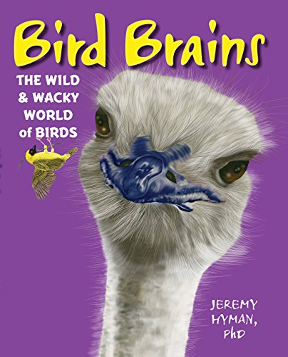 Bird Brains