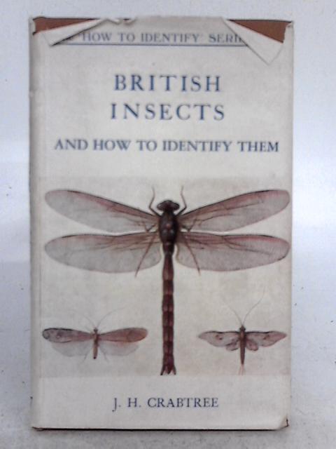 British Insects and How to Identify Them