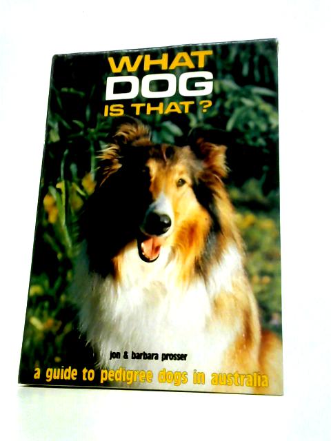 What Dog Is That? - A Guide To Pedigree Dogs In Australia