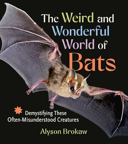 The Weird and Wonderful World of Bats