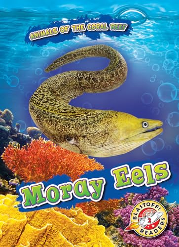 Moray Eels