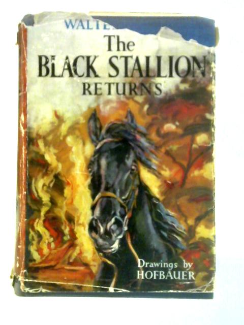 The Black Stallion Returns