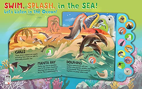 Swim, Splash, in the Sea!