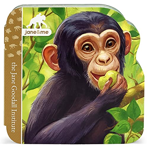 Chimpanzee