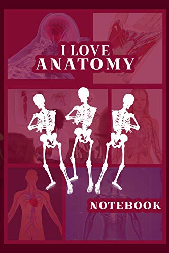 I Love Anatomy