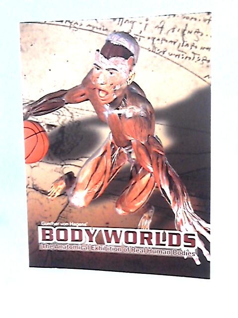 Body Worlds : The Anatomical Exhibition Of Real Human Bodies