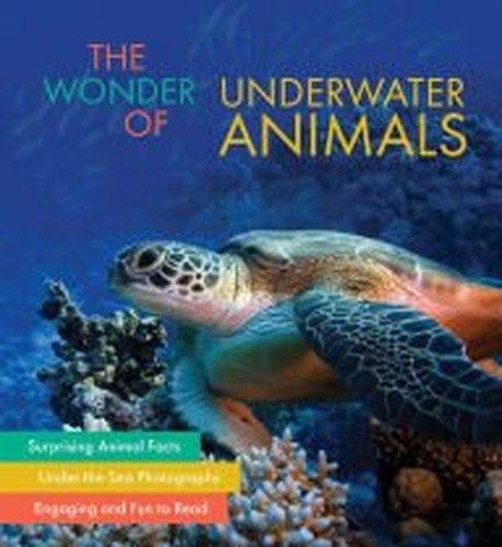 The Wonder of Underwater Animals