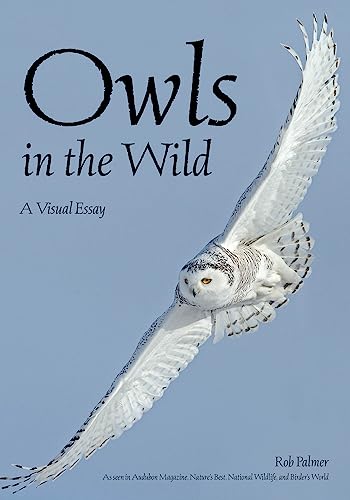 Owls In The Wild