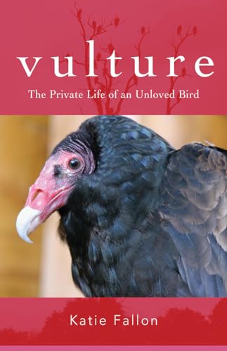 Vulture The Private Life of an Unloved Bird