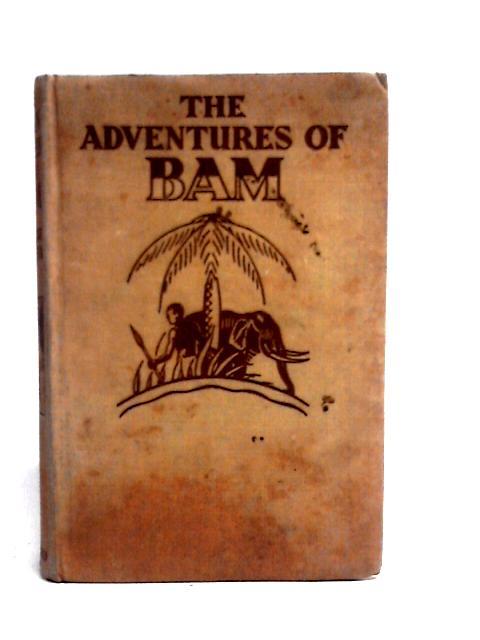 The Adventures of Bam