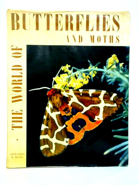 The World Of Butterflies And Moths