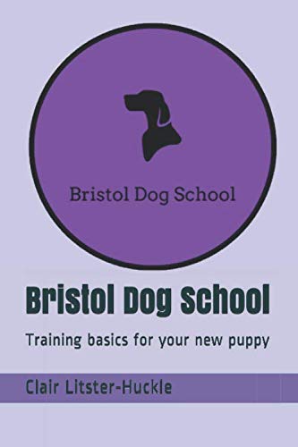 Bristol Dog School: Training basics for your new puppy