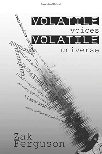 Volatile Voice's, Volatile Universe