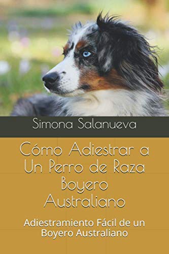 Cómo Adiestrar a Un Perro de Raza Boyero Australiano: Adiestramiento Fácil de un Boyero Australiano