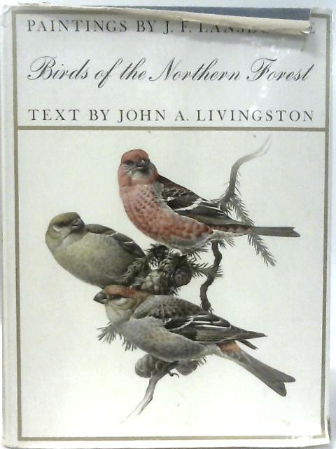 Birds of the Northern Forest