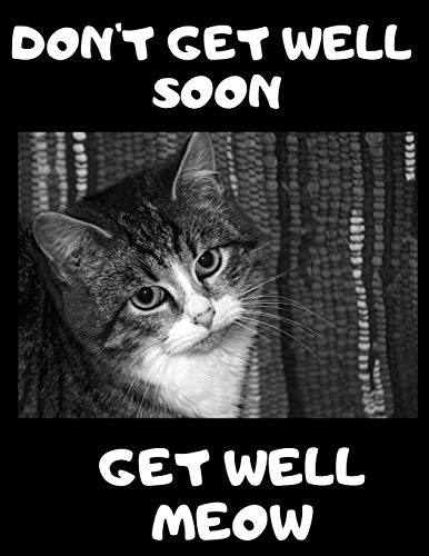 Don't Get Well Soon Get Well Meow