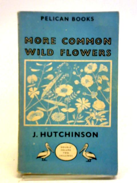 More Common Wild Flowers
