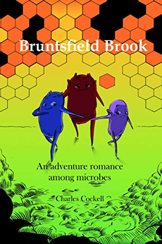 Bruntsfield Brook: An adventure romance among microbes