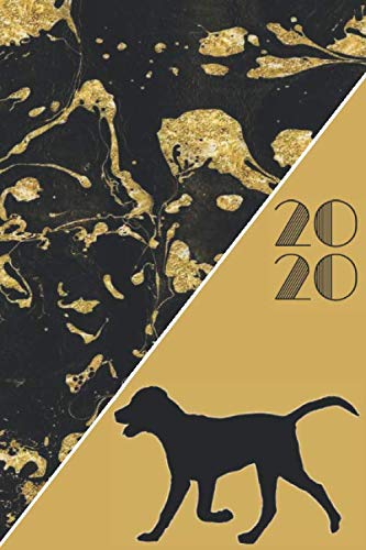 2020: 2020 Sunday Start Monthly Calendar and Organizer | Labrador Gift for Women