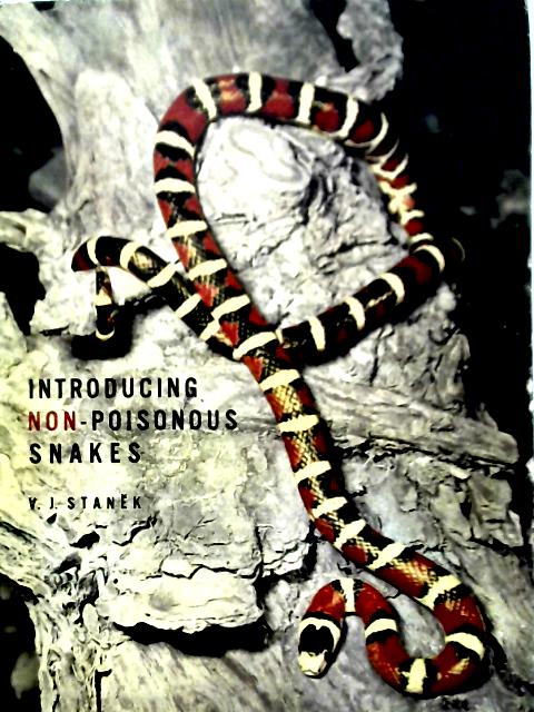 Introducing Non-poisonous Snakes